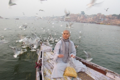 Những cánh chim hải âu trên sông Hằng