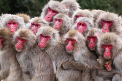 Nhà báo và thời cuộc