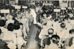 Lại Vấn Đề Tổ Chức Trong Đạo Phật (1993)