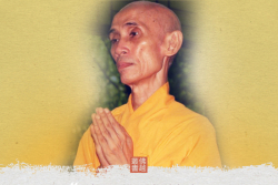 Thư Khánh Tuế