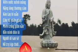 Thông tin hoạt động cứu trợ nạn nhân lũ lụt Miền Trung