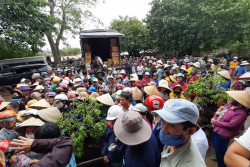 TRẮNG XÓA MÀN MƯA, BỒ ĐỀ TÂM TRẢI RỘNG - Tường trình về những chuyến đi cứu trợ Miền Trung