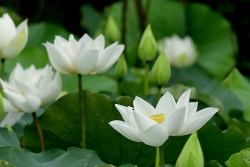 Nhìn Về Tuổi Trẻ Và Văn Hóa Hậu Covid