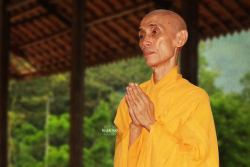 CHIẾC VÕNG MÙA THU