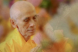 Hòa Thượng TUỆ SỸ và GHPGVNTN trong dòng sống của dân tộc và hướng đi của thời đại