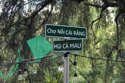 Từ Hội An Tới Chợ Nổi Cái Răng, Những Giọt Mồ Hôi Và Những Nụ Cười